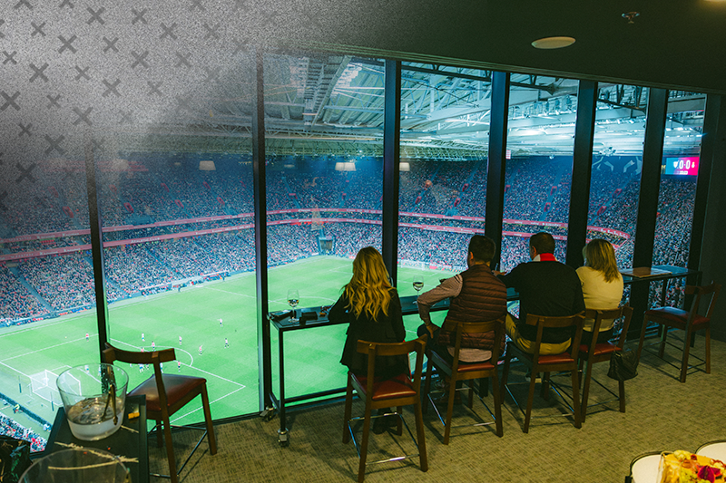 Skybox privado