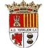 AD Torrejón CF