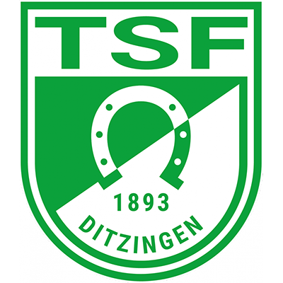 TSF Ditzingen