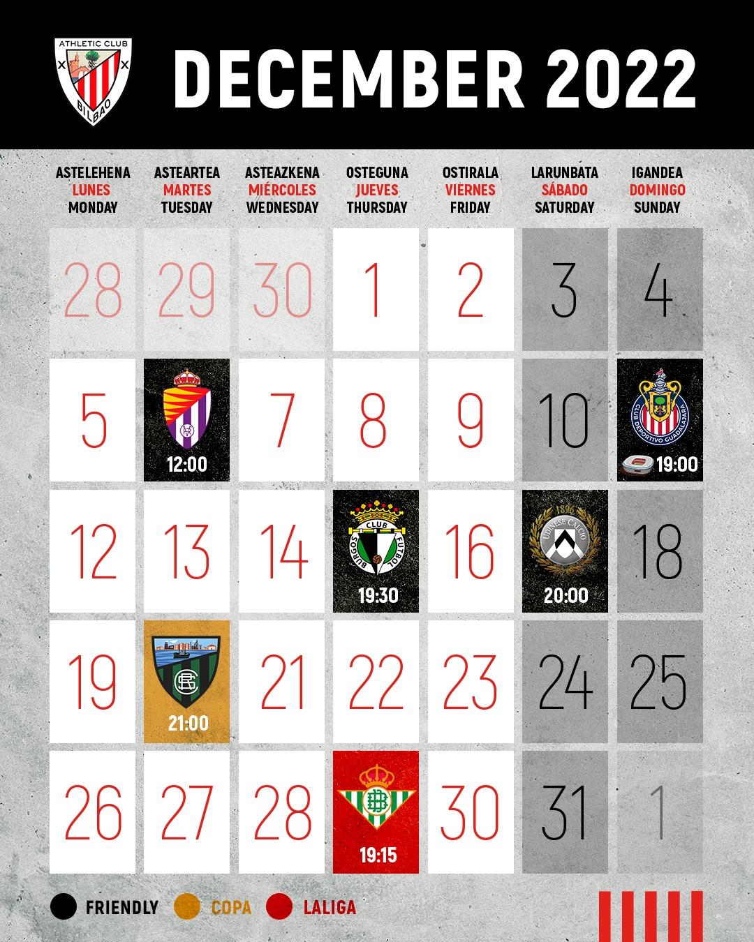 The Lions' December Fixture Schedule